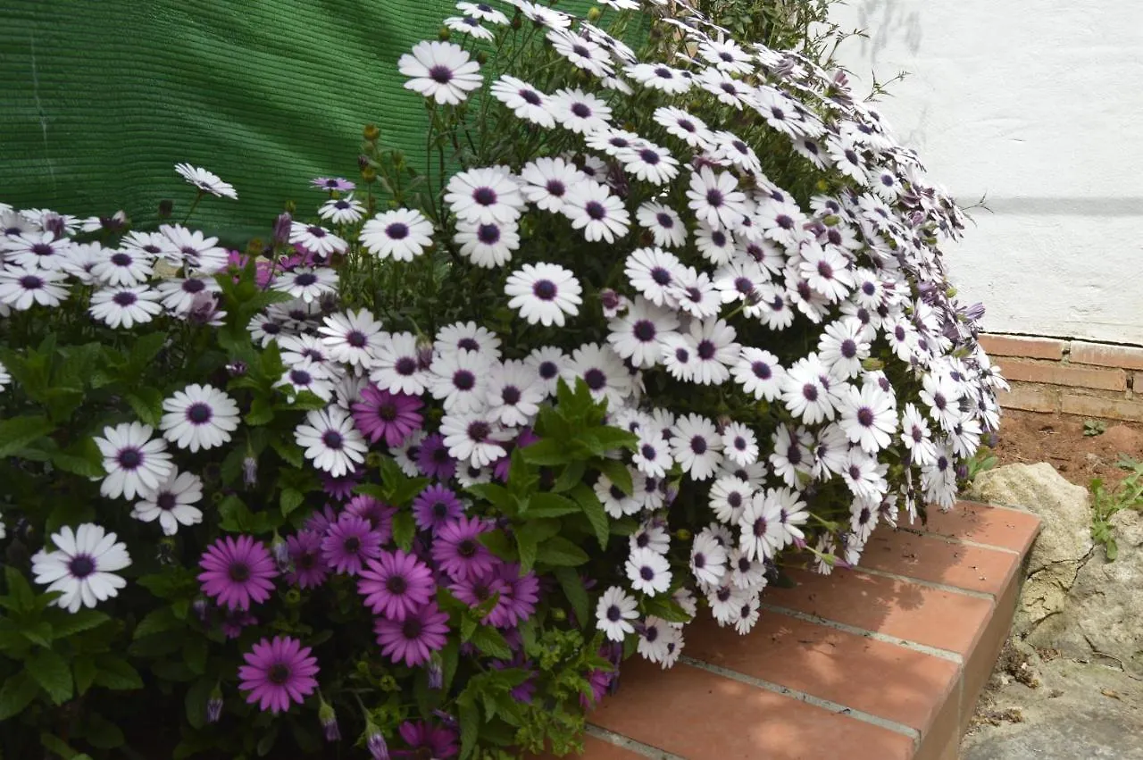 Holiday home Casa Carmesi Villa Arriate